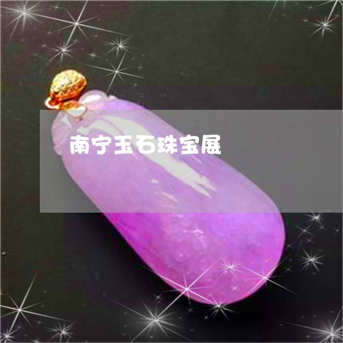 南宁玉石珠宝展/2023062538260