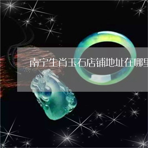 南宁生肖玉石店铺地址在哪里/2023112349406