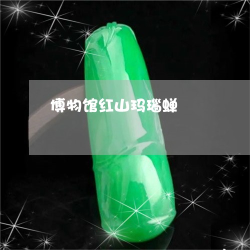 博物馆红山玛瑙蝉/2023112331693