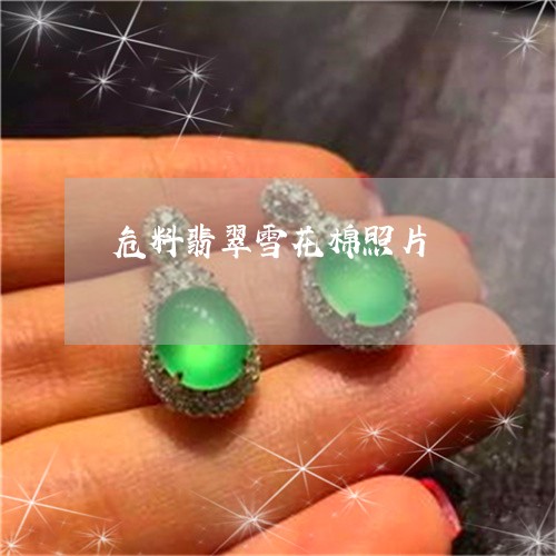 危料翡翠雪花棉照片/2023121700504