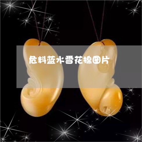 危料蓝水雪花棉图片/2023121751906