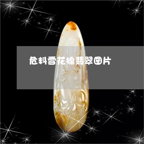 危料雪花棉翡翠图片/2023121797271