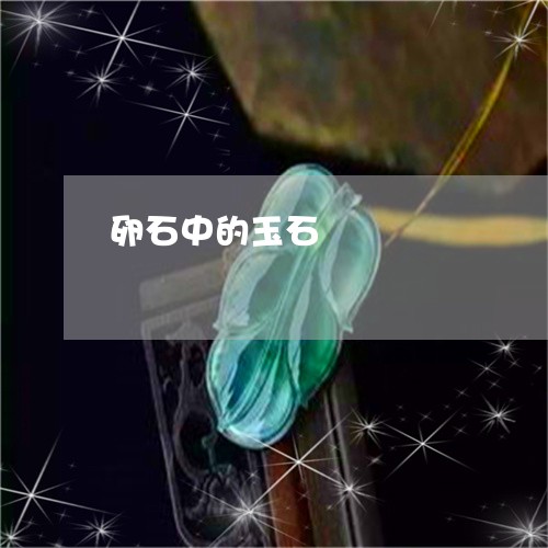 卵石中的玉石/2023073041835