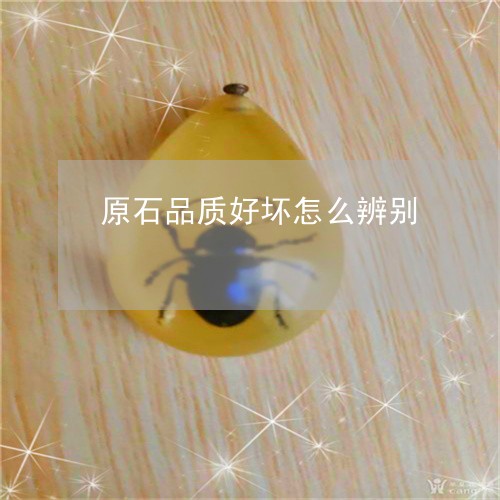 原石品质好坏怎么辨别/2023051037351