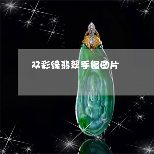 双彩绿翡翠手镯图片/2023121854038