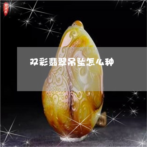 双彩翡翠吊坠怎么种/2023083039392