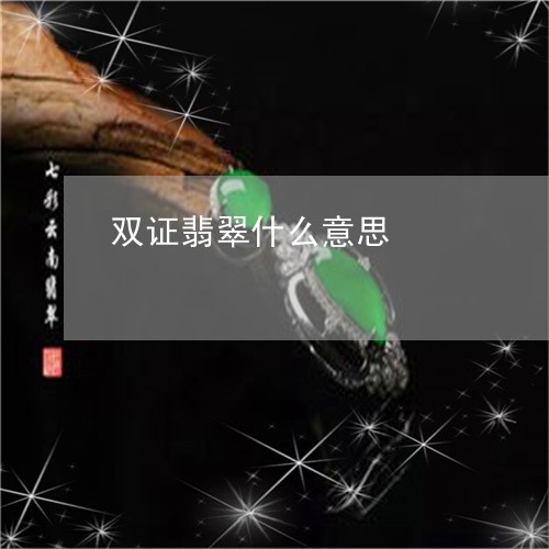 双证翡翠什么意思/2023112359150