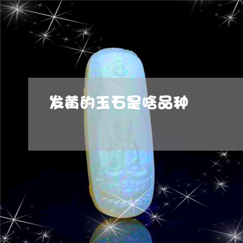 发黄的玉石是啥品种/2023032995048