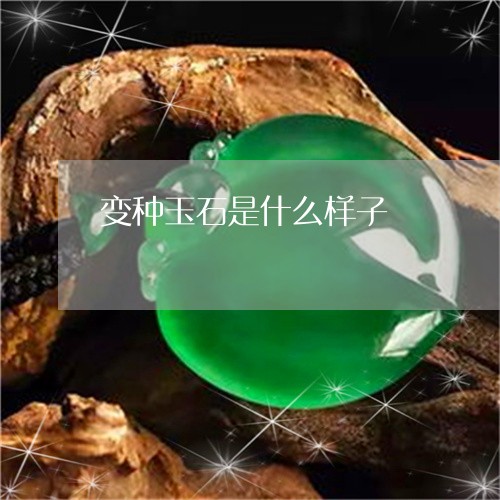 变种玉石是什么样子/2023121676147