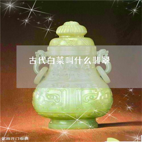 古代白菜叫什么翡翠/2023120611697