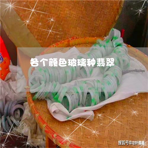 各个颜色玻璃种翡翠/2023121771482