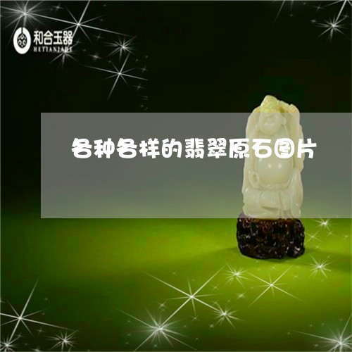 各种各样的翡翠原石图片/2023052543824