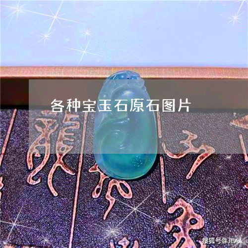 各种宝玉石原石图片/2023121763026