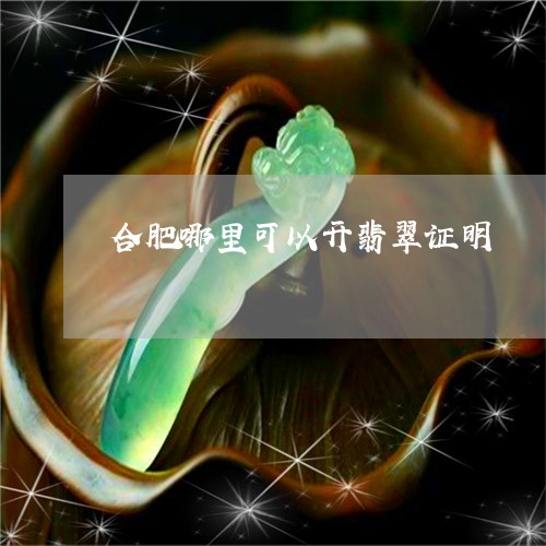 合肥哪里可以开翡翠证明/2023052521927