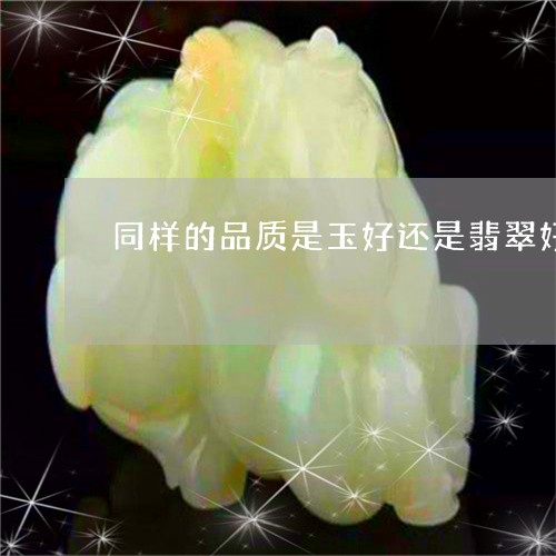 同样的品质是玉好还是翡翠好/2023112340482