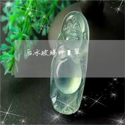 后冰玻璃种翡翠/2023062450504