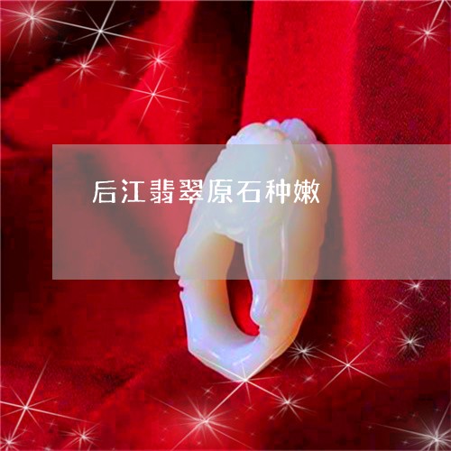 后江翡翠原石种嫩/2023112419369