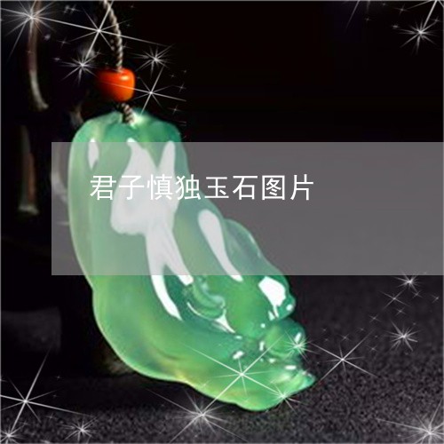 君子慎独玉石图片/2023112468383