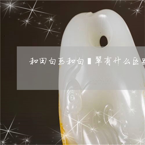 和田白玉和白翡翠有什么区别/2023100516059