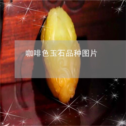 咖啡色玉石品种图片/2023121795827