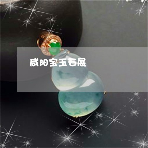 咸阳宝玉石展/2023073048483