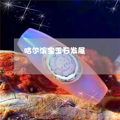 哈尔滨宝玉石发展/2023112482694