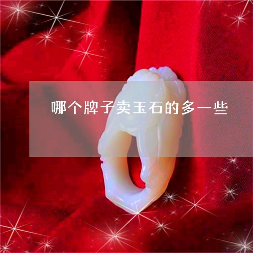 哪个牌子卖玉石的多一些/2023110870603