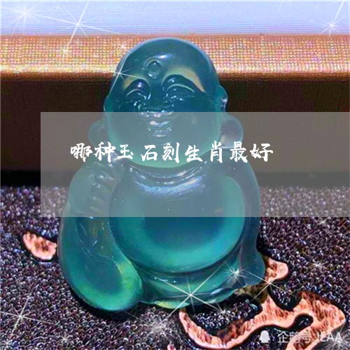 哪种玉石刻生肖最好/2023093053725