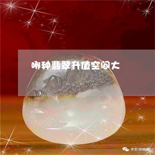 哪种翡翠升值空间大/2023121828302