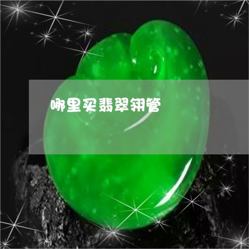 哪里买翡翠翎管/2023062438171