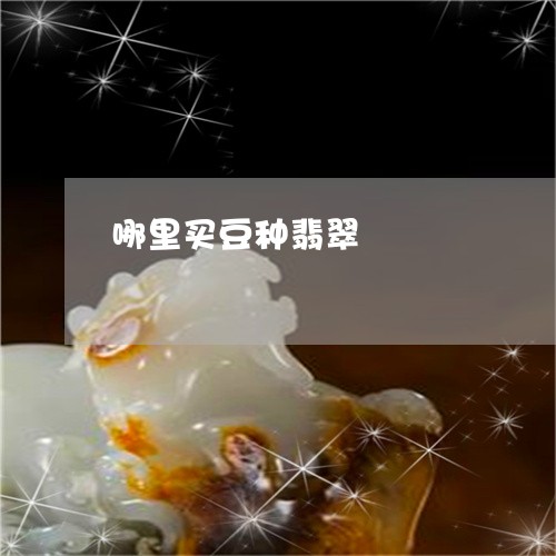 哪里买豆种翡翠/2023062408048