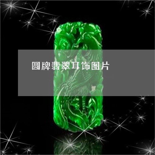 圆牌翡翠耳饰图片/2023120523626