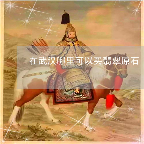 在武汉哪里可以买翡翠原石/2023050991684