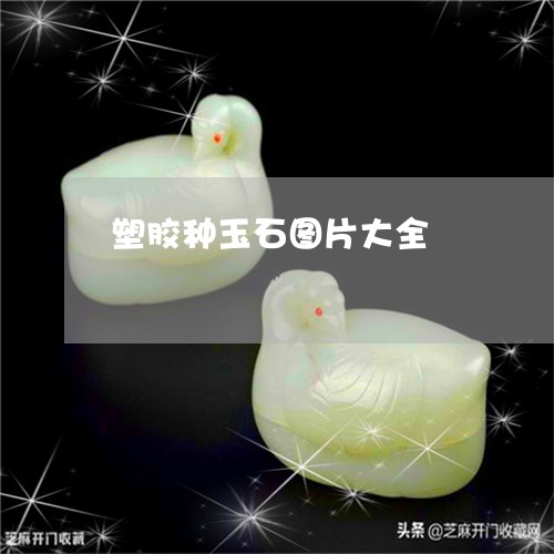 塑胶种玉石图片大全/2023120631594