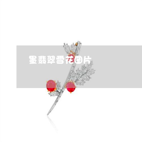 墨翡翠雪花图片/2023062560705