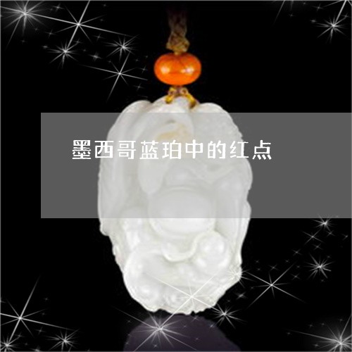 墨西哥蓝珀中的红点/2023112488371