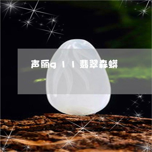 声丽g11翡翠森蟒/2023121894937