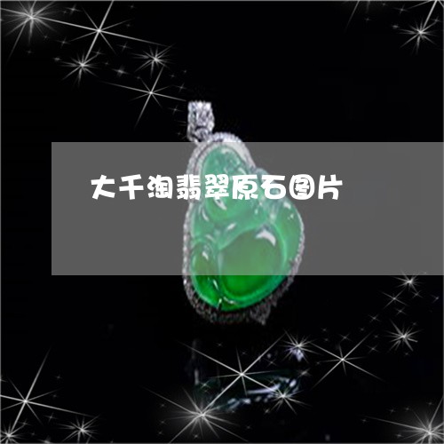 大千淘翡翠原石图片/2023121741694