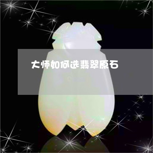 大师如何选翡翠原石/2023121799479