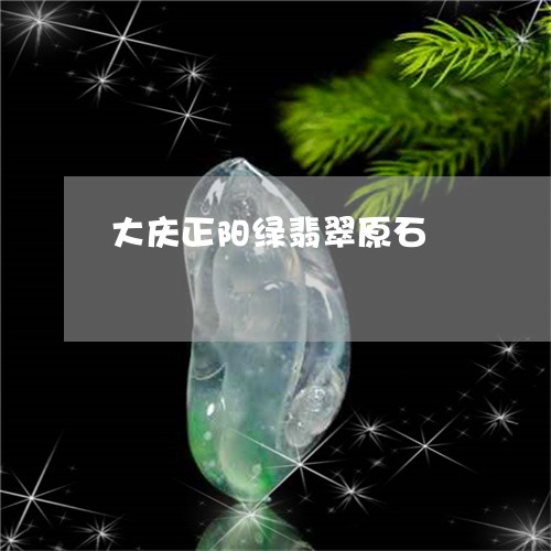 大庆正阳绿翡翠原石/2023121761925