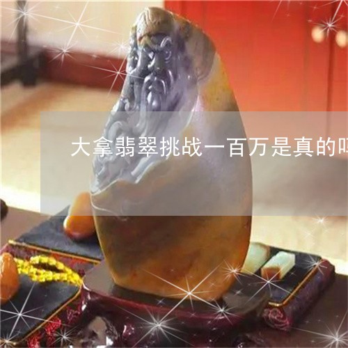 大拿翡翠挑战一百万是真的吗/2023112364927