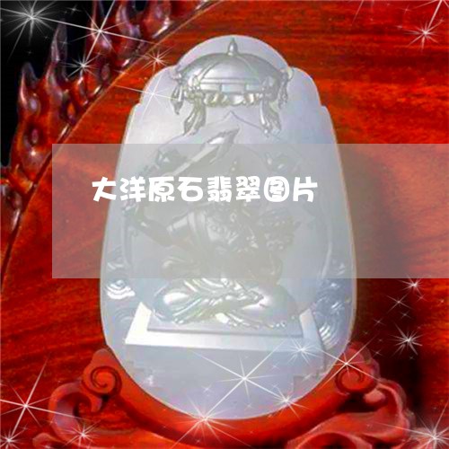 大洋原石翡翠图片/2023112451592