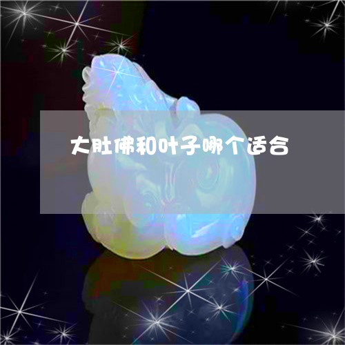 大肚佛和叶子哪个适合/2023051136361