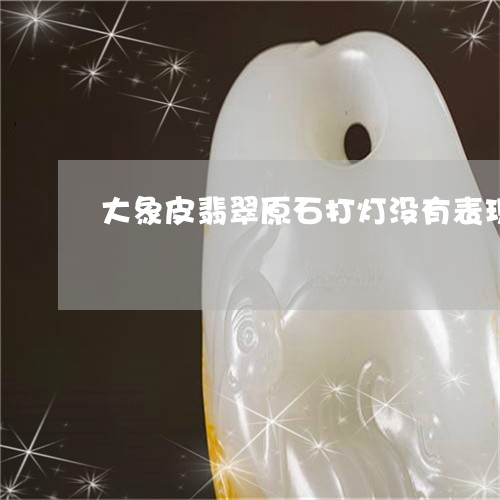 大象皮翡翠原石打灯没有表现/2023100580392