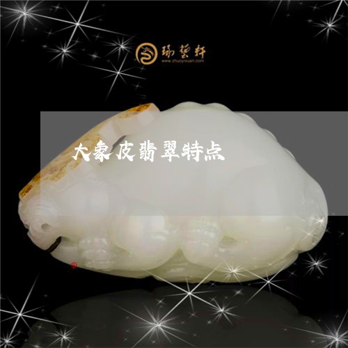 大象皮翡翠特点/2023062599360