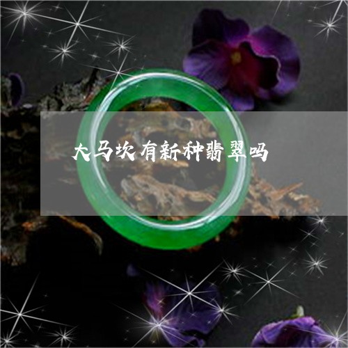 大马坎有新种翡翠吗/2023093005037