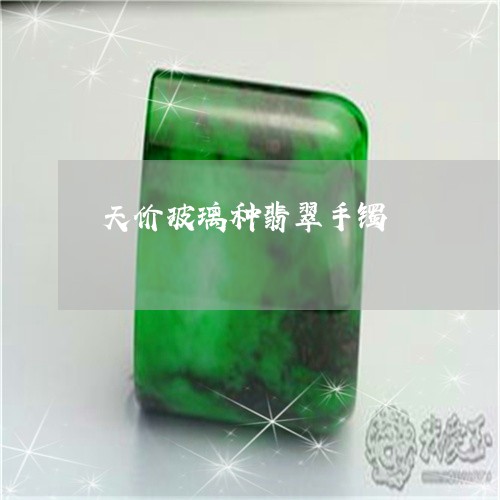 天价玻璃种翡翠手镯/2023120600572