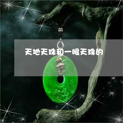 天地天珠和一眼天珠的/2023051016058