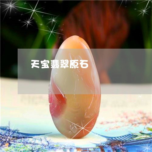 天宝翡翠原石/2023073136605