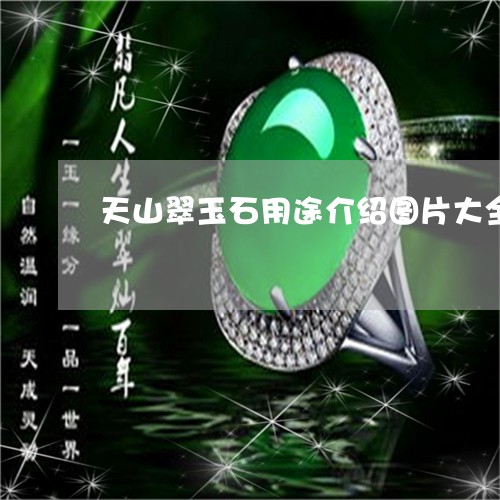 天山翠玉石用途介绍图片大全/2023112348370